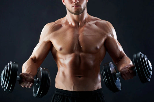 2024: The Ultimate Guide on How to Increase Testosterone for Muscle Growth and Strength